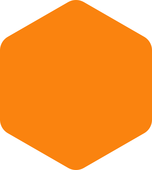 https://www.bestconstruction.cz/wp-content/uploads/2020/09/hexagon-orange-huge.png